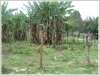 Nice plot of land in Dongkhamxang area