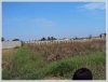 Rice paddy near lao-Itec for sale