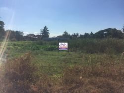 ID: 4588- Large land near Suanmone market in Ban Sangveuy for sale