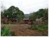 Resort by waterfalls in city of Luangprabang for sale