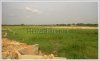 Rice paddy land by T4 road for sale