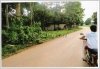Land with teak wood trees near Sivilay Market for sale