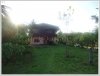 Typical Lao house in quiet area 35km from Vientiane City