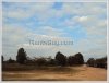 Vacant land by Tadua road for sale