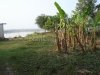 Land near Mekong