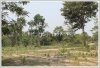 Vacant land by brook in Namhoum area for farming business