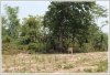 Vacant land by brook in Namhoum area for farming business