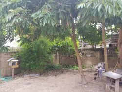 ID: 4362 - Cozy villa house for sale near Nong Hai T Junction