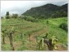 Argriculture, Resort potentials in Louangprabang