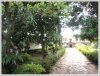 ID: 1850 - Nice house by Mekong for rent with large garden
