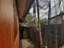 ID: 4362 - Cozy villa house for sale near Nong Hai T Junction