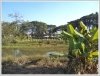 Land for sale in Ban Phontong for sale