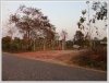 Land for sale in Ban Huaynamyen