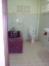 ID: 386 - House with nice garden near fitness center