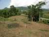 ID: 426 - Land near main road and Mekong for sale