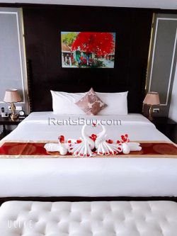 ID: 4386 - 4 stared hotel for sale in city of Vientiane