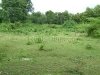 ID: 550 Land in Thangone area for sale