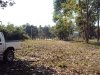 vacant land with big trees, 4 fish ponds and some part with rice paddy