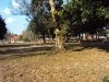 vacant land with big trees, 4 fish ponds and some part with rice paddy