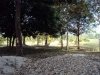 vacant land with big trees, 4 fish ponds and some part with rice paddy