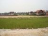 ID: 727 - Brand new Lao style house with rice paddy view