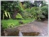 ID: 916 - Lao modern wooden house near Sengdara with sizable garden