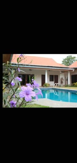 ID: 4321 - Swimming Pool Villa for rent near New French School Campus