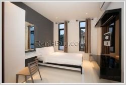 ID: 3751 - New Boutique apartment with fully furnished for rent