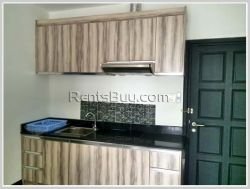 ID: 3114 - Brand new beautiful apartment in prime location of Mekong community for rent