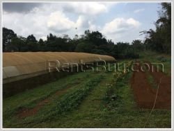 ID: 3969 - Nice Land of Argiculture for sale in Pakxong district