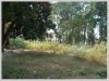 ID: 404 - Large land for sale in Phonkor village 
