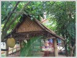 ID: 3247 - Lao style house with large garden for sale