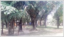 ID: 3607 - House with large garden and near main road for rent