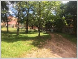 ID: 3841 - Nice house for rent near Mittaphab hospital in Phonsavang Village