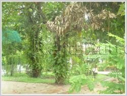 ID: 3289 - House by pave road and near Joma (Phonthan) for rent