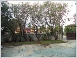 ID: 3303 - Renovated house near Joma That luang for rent