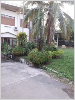 ID: 61 - Lao contemporary house with fully furnised and large shady garden for rent