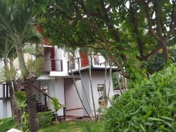 ID: 4090 - Modern house with nice garden and near National University of Laos for rent