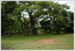 ID: 3673 - Pretty house near Clock Tower, Thadua Road, for rent