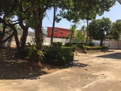 ID: 4448 - House with swimming pool and large garden near main road for rent in Ban Sisangv