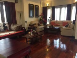 ID: 4509-The Beautiful house near National School of Performing Arts for rent