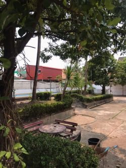 ID: 4448 - House with swimming pool and large garden near main road for rent in Ban Sisangv