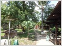 ID: 2822 - Land sale by paved road at Chommany Village