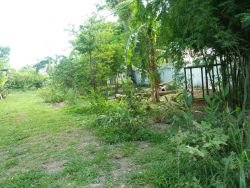 ID: 4481 - Pretty Villa with large land near Samket transport station for sale