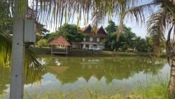 ID: 4564-Lao contemporary house with large land near Nongseuam for sale