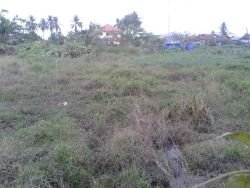 ID: 3787 - Residential land near Sikay Market for sale