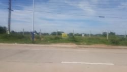 Land plots on a large nature land next to concrete road for rent