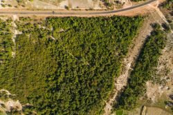 ID: 4424 - Large land for sale in Ban Somsavat