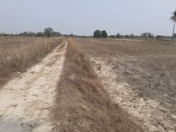 ID: 4435 - Agriculture land in km 31 for sale in Ban Borlek