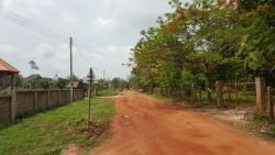ID: 4516-Land with row house near Five April international shooting range for sale in Ban Nasangphai